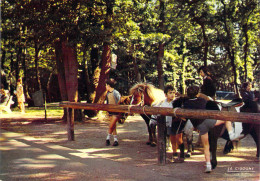 76 - Le Havre - En Forêt De Montgeon - Le Coin équestre - Forêt De Montgeon