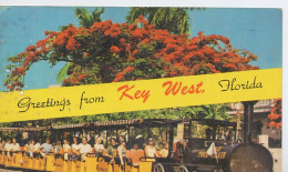 USAFL 01 02 - KEY WEST - MULTIVUES (POINCIANA, CONCH TOUR TRAIN) - Key West & The Keys