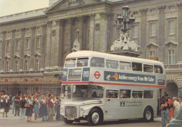2369/ Buckingham Palace 1977, 25 RM Type Buses - Bus & Autocars