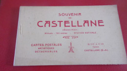 04 CASTELLANE CARNET COMPLET 10 CP EDIT  RICAUD TABACS CASTELLANE - Castellane