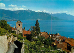 Switzerland St Saphorin Pres Vevey Lac Leman & Les Alpes Vaudoises - Saint-Saphorin