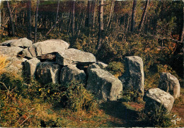 France Environs De Carnac Dolmen De Crucuno - Dolmen & Menhire