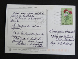 TUNISIE TUNISIA AVEC YT 1368 OEILLETS DES FLEURISTES FLORE FLEUR FLOWER BLUME - CARTHAGE MULTIVUES - Tunisie (1956-...)