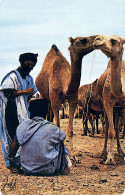 Afrique Du Nord - Maroc - Hommes Bleus Au Moussem D'Asrir - Sammlungen & Sammellose