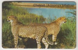 ΝΑΜΙΒΙΑ - Cheetah - Acinonyx Jubatus ,CN:NAEIA - Dashed Zero ,10 $ ,used - Namibië