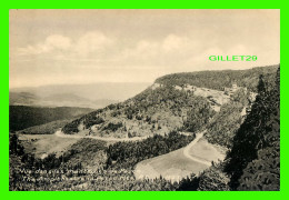 GASPÉ, QUÉBEC - VUE DANS LES MONTAGNES DE PERCÉ - PUB. BY H.V. HENDERSON - PECO - - Gaspé