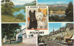 PITLOCHRY MULTI VIEW - Ross & Cromarty