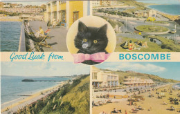 BOSCOMBE MULTI VIEW - Bournemouth (from 1972)