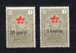 1932 TURKEY STAMPS IN AID OF THE TURKISH SOCIETY FOR THE PROTECTION OF CHILDREN SURCHARGED WITH LARGE LETTERS NO GUM - Timbres De Bienfaisance