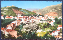 66 Haut Vallespir Amélie-les-Bains-Palalda - Vue Générale - Amélie-les-Bains-Palalda