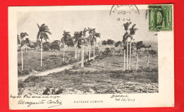 ZWK-21  Paysage Cubain  Used Havana Dos Simple, Circulé 1903 Vers Lausanne Suisse - Cuba