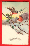 ZWK-32  Bonne Année. Oiseaux Dans La Neige. Circulés 1926 Avec Trois Timbres Pro Juventute  - New Year