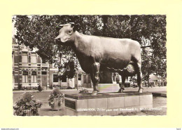 Leeuwarden Zuiderplein Met Standbeeld RY29927 - Leeuwarden