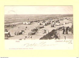 Zandvoort Strandgezicht 1902 RY29650 - Zandvoort