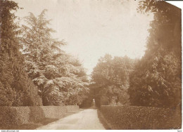 Putten Originele Foto Garderenscheweg Ceder KE1486 - Putten