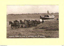 Ameland Nes Paarden Reddingsboot Naar Zee RY29373 - Ameland