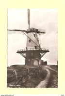 Veere Molen RY29312 - Veere