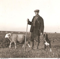 Ede Herder, Hond Op De Schinkel Foto KE1882 - Ede