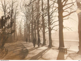 Helmond Persfoto Natuur In Park 1932 KE1755 - Helmond