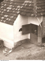 Eijsden Persfoto Boerderij Langs Maas 1934 KE1745 - Eijsden