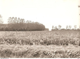 Marknesse Landschap Foto KE1658 - Other & Unclassified