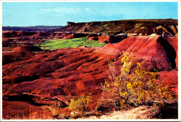 Arizona The Painted Desert In Northern Arizona 1982 - Autres & Non Classés