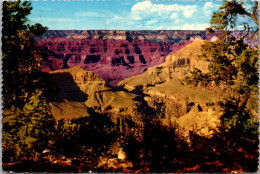 Arizona Grand Canyon National Park Between Hopi And Mahave Point 1972 - Grand Canyon