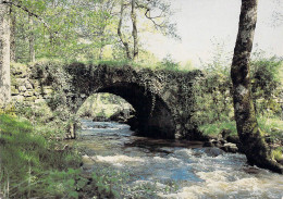 87 - Nieul - Pont De Puymaud Sur La Glane - Nieul