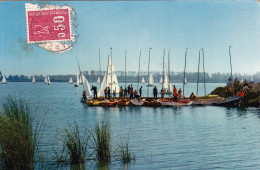 TRAPPES . BOIS D ARCY . 78 . LE CENTRE DE VOILE  DE L ETANG DE ST QUENTIN - Bois D'Arcy