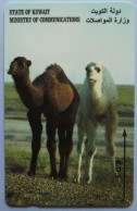 KUWAIT - GPT -  Error - With Sri Lanka Control - 19SRLA  - Camels - RR - Kuwait