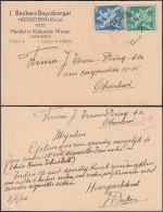 Belgique 1946 - Entier Postal Sur Lettre De Neeroeteren Vers Charleroi- 1 Timbre Abîmé. Émis. Lion VI....  (EB) DC-11800 - 1929-1937 Lion Héraldique