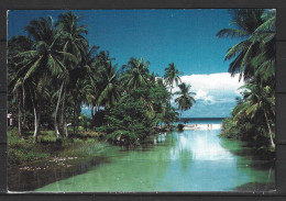 JAMAIQUE. Carte Postale écrite. The White River. - Jamaïque