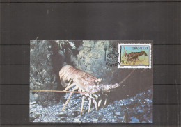 Crustacés - Homard ( CM De Transkei De 1989 à Voir) - Crustaceans