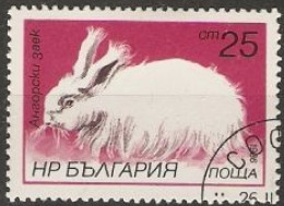 BULGARIE - Lapin Angora (Oryctolagus Cuniculus Forma Domestica) - Conejos