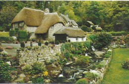 BUCKLAND IN THE MOOR, DARTMOOR, DEVON, ENGLAND. UNUSED POSTCARD   Wt1 - Dartmoor