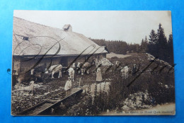 La Sèche De Gimel Jura Vaudois VD Vaud Suisse Ferme  1916 - Gimel