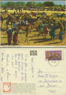 NIGER NIGERIA -CAMELS IN MONGUNO MARKET - Niger