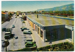 LAMEZIA TERME - PIAZZALE E STAZIONE F.F.S.S. - TRENI - AUTOMOBILI - CARS - Lamezia Terme