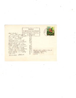 New Caledonia-picture Postcard To France - Cartas & Documentos