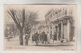 CPA SAIDA (Algérie) - Avenue Gambetta - Saida