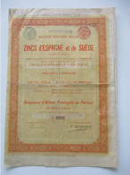 Société Minière Belge Des Zincs D'Espagne Et De Suède - Bruxelles - 1891 - Mines