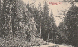 AK Bad Sachsa - Harz - Kuckanstal - 1916  (65175) - Bad Sachsa