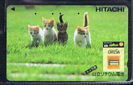 Télécartes Carte Telephonique Phonecard Japon Japan  Telecarte Theme Chat - Katten