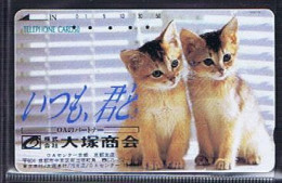 Télécartes Carte Telephonique Phonecard Japon Japan  Telecarte Theme Chat - Gatos