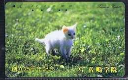 Télécartes Carte Telephonique Phonecard Japon Japan  Telecarte Theme Chat - Katten