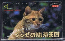 Télécartes Carte Telephonique Phonecard Japon Japan  Telecarte Theme Chat - Katten