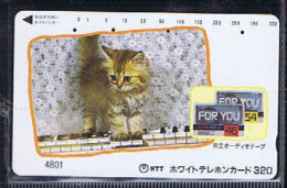 Télécartes Carte Telephonique Phonecard Japon Japan  Telecarte Theme Chat - Katzen