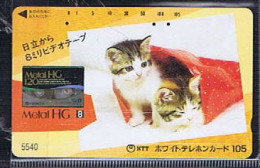 Télécartes Carte Telephonique Phonecard Japon Japan  Telecarte Theme Chat - Gatos