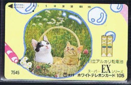 Télécartes Carte Telephonique Phonecard Japon Japan  Telecarte Theme Chat - Gatos