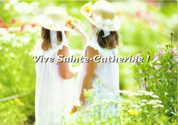 VIVE SAINTE CATHERINE ! - COLOR BOX DIAPHOR - CARTENFOLIES - Sainte-Catherine